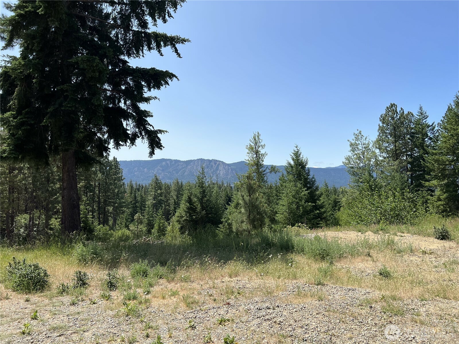 1571  Summit View Road  Cle Elum WA 98922 photo
