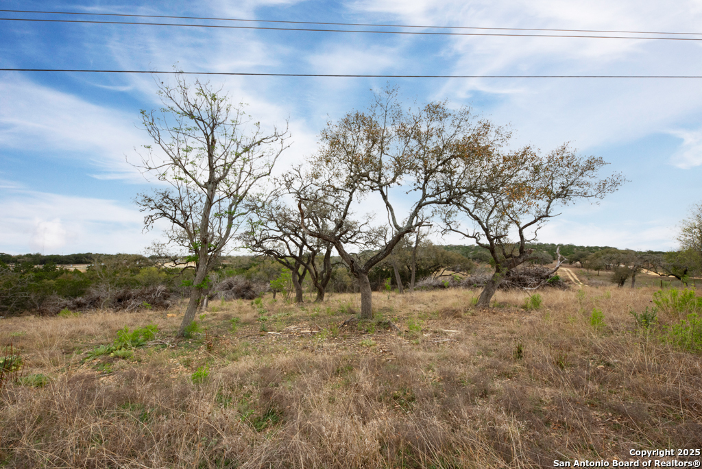 Property Photo: 4715 S Highway 16 TX 78003