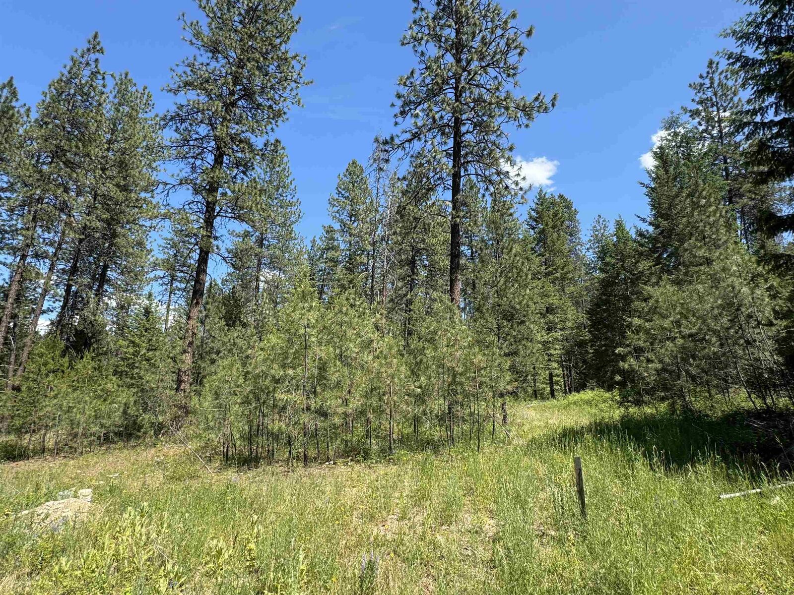 Property Photo: 620 N A St Lot #1 WA 99173