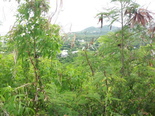 Property Photo: 193 La Vallee Nb VI 00840