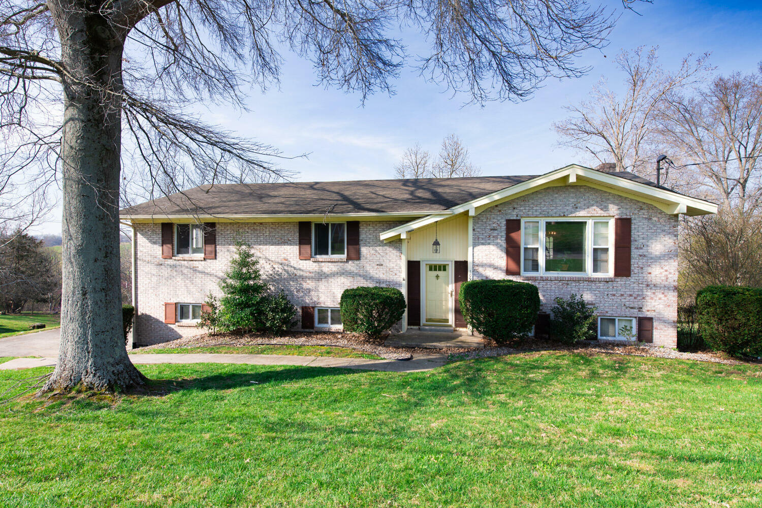 109 Lakeshore Drive  Richmond KY 40475 photo