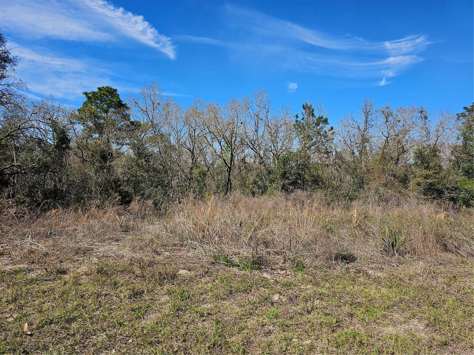 00 SW 153rd Street Road  Ocala FL 34473 photo