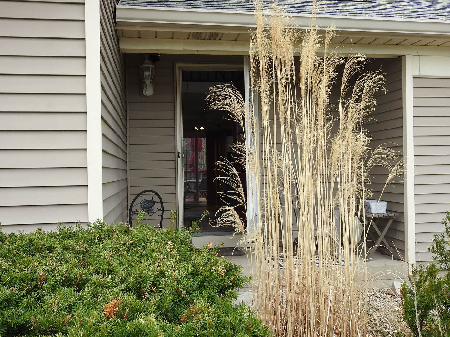 Property Photo: 137 Filbert Drive IL 60107