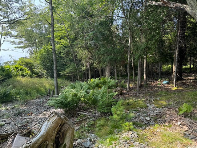 Property Photo:  Lot C Long Point Road  ME 04079 