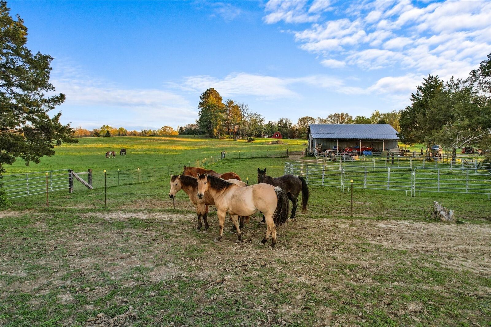 Property Photo:  1661 Martha Leeville Rd  TN 37090 