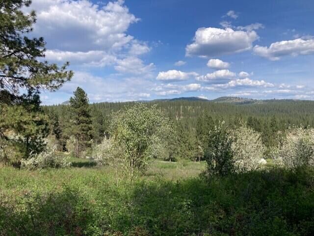 Property Photo:  20xx Northport Flat Creek Rd  WA 99141 