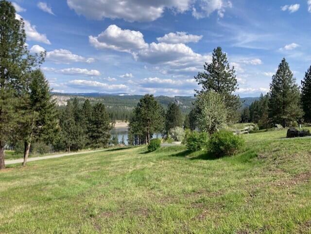 Property Photo: 20xx Northport Flat Creek Rd WA 99141