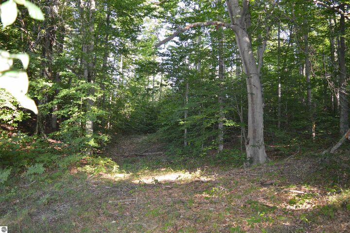 Property Photo:  W Leonard Road  MI 49659 