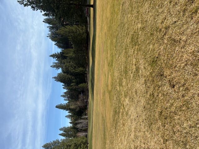 Property Photo:  1 Fairview Drive  MT 59866 