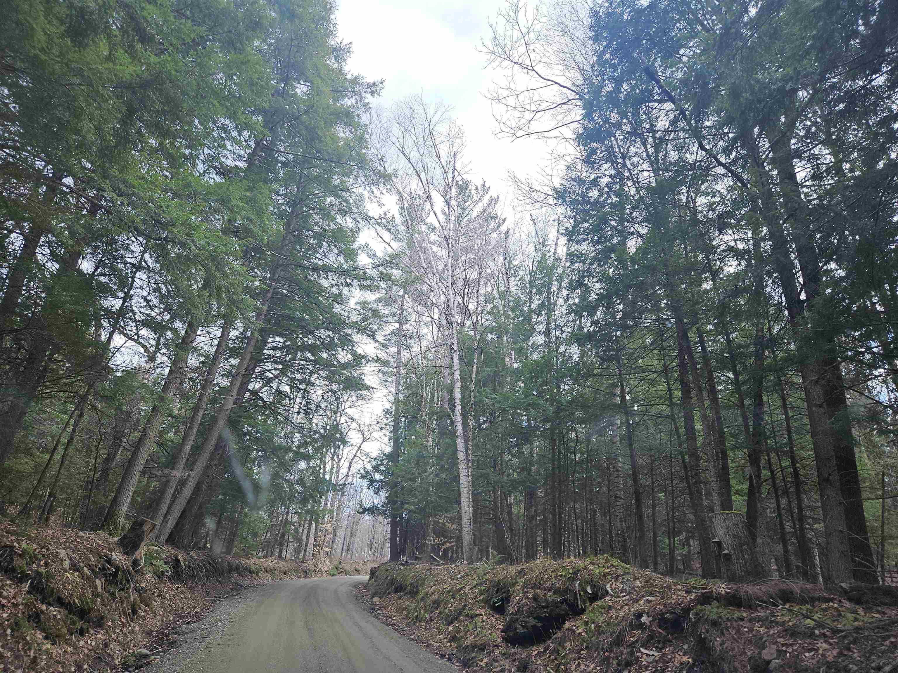 Property Photo: 47 Highbridge Road NH 03768