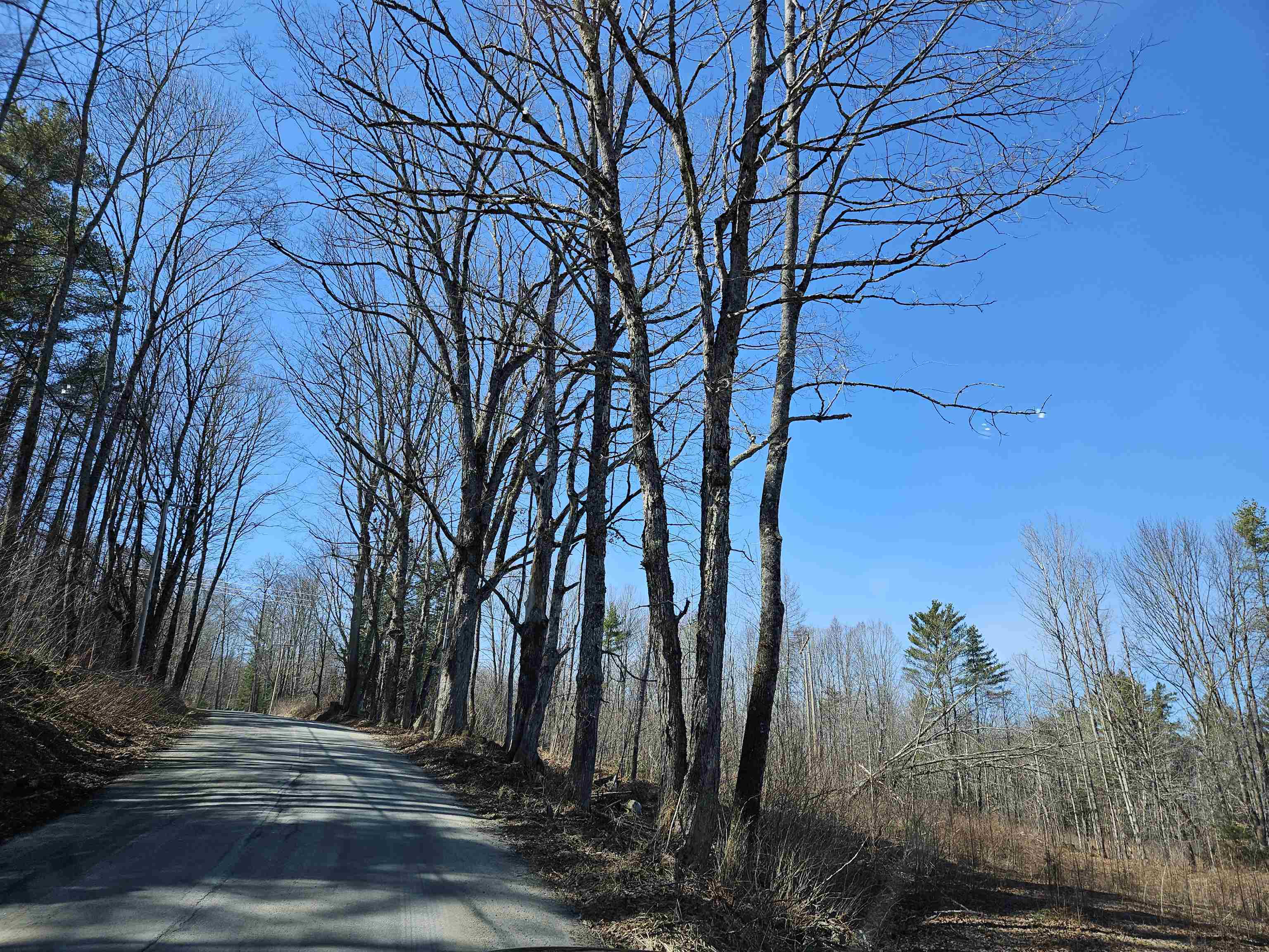 Property Photo: 324 Crane Hill Road NH 03486