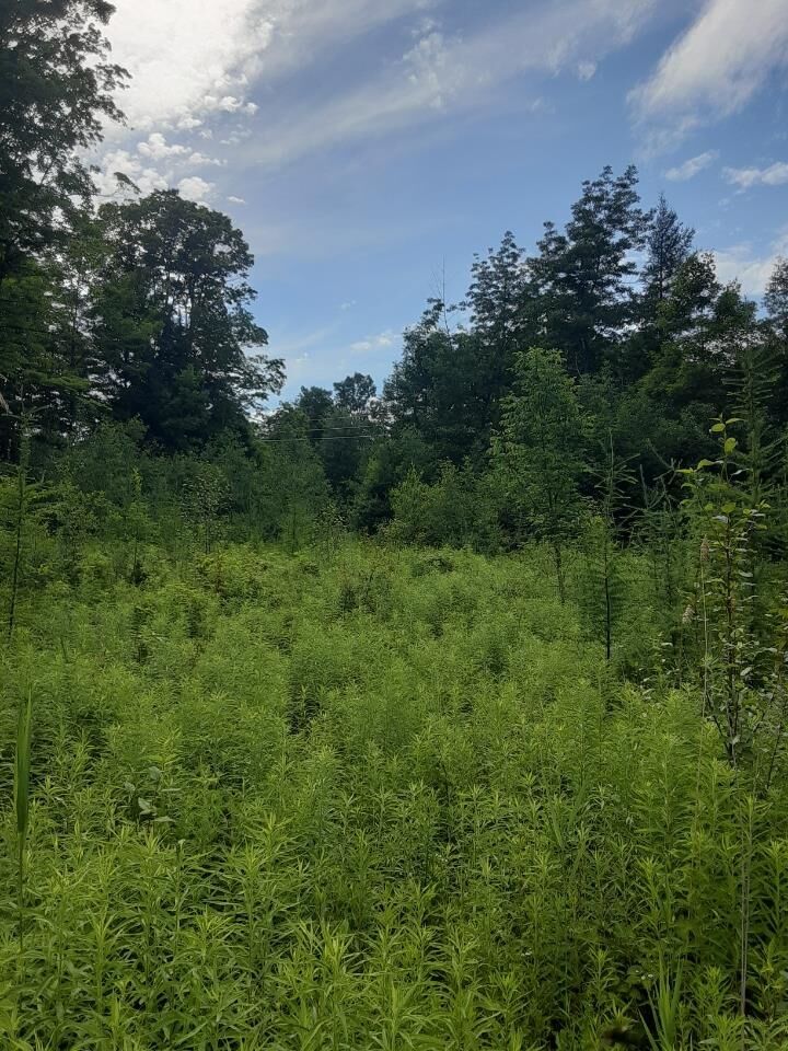 Property Photo:  324 Crane Hill Road  NH 03486 