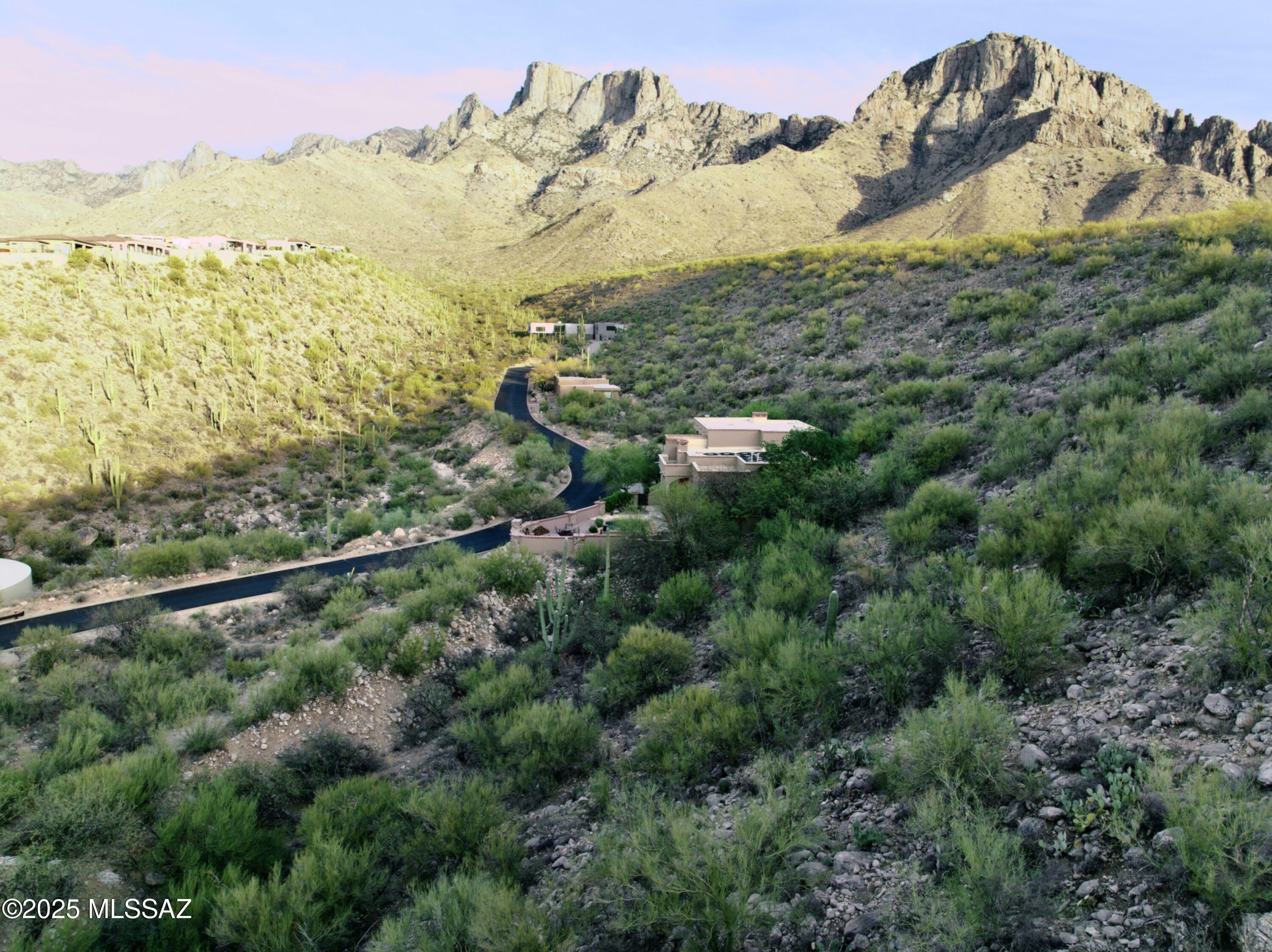 Property Photo: 2164 E Buck Ridge Place 59 AZ 85737