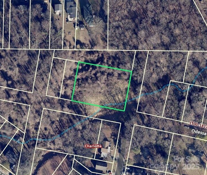 1710 Odessa Avenue  Charlotte NC 28216 photo