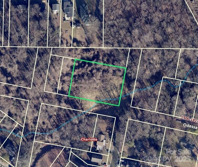 Property Photo:  1710 Odessa Avenue  NC 28216 