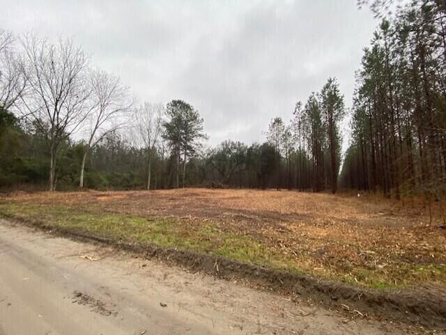 Property Photo:  0 Weeping Cherry Lane  SC 29102 