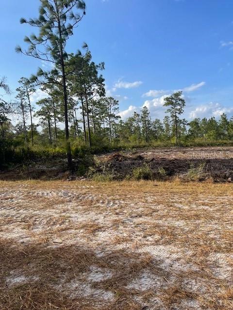 Property Photo: 108 El Dorado Drive FL 33855
