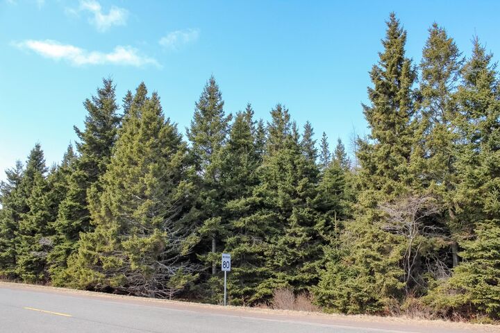 Peters Road — photo 1