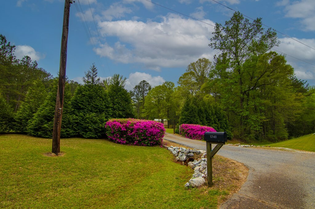 Property Photo: 1741 Lower Blue Springs Road GA 31811