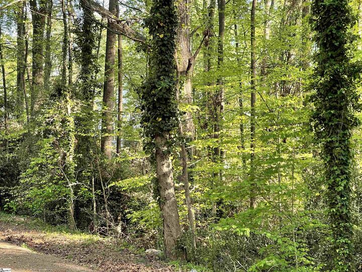 Property Photo:  Forest Lane Drive  SC 29340