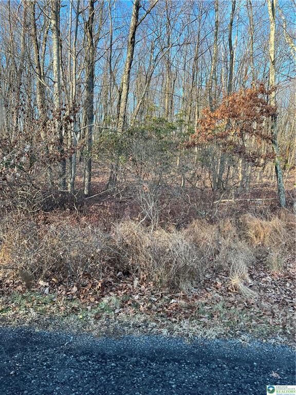 Property Photo: 169 Yellow Run Road PA 18229