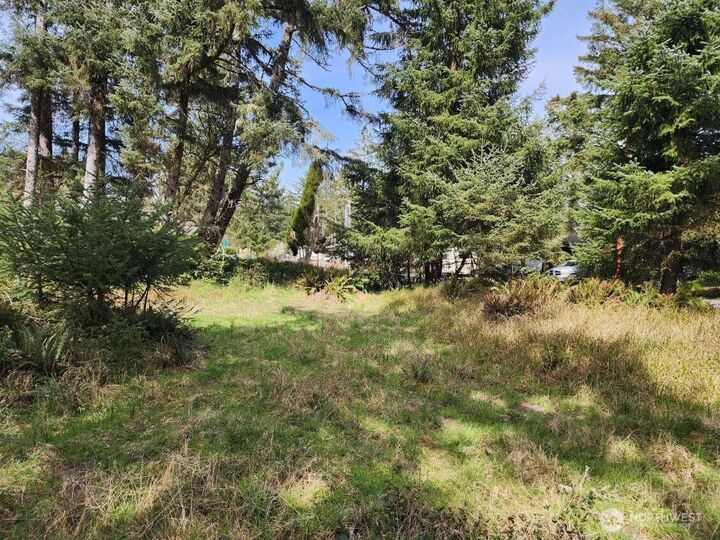 Property Photo:  661  Sollecks Avenue SE  WA 98569 