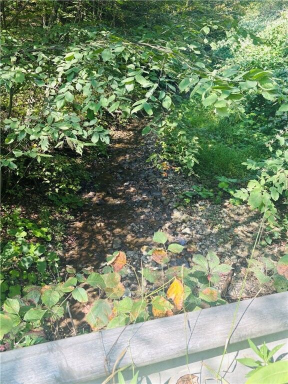 Property Photo: Morris Hill Road NY 14864