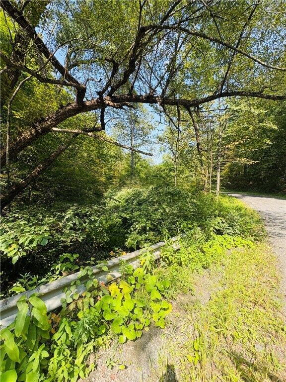 Property Photo:  Morris Hill Road  NY 14864