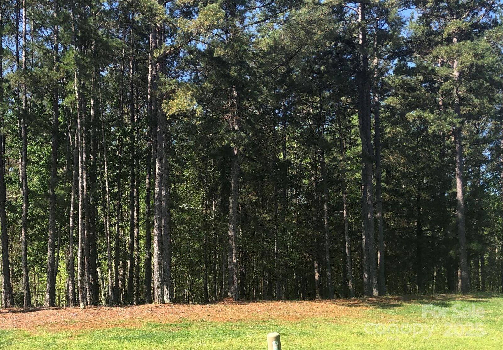 Property Photo:  6157 Volte Drive 93  NC 28227