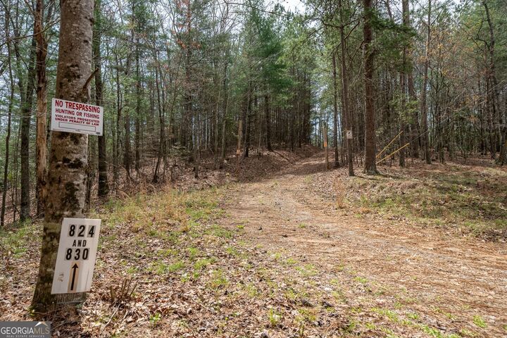 824 And 830 Banks Road  Ellijay GA 30540 photo