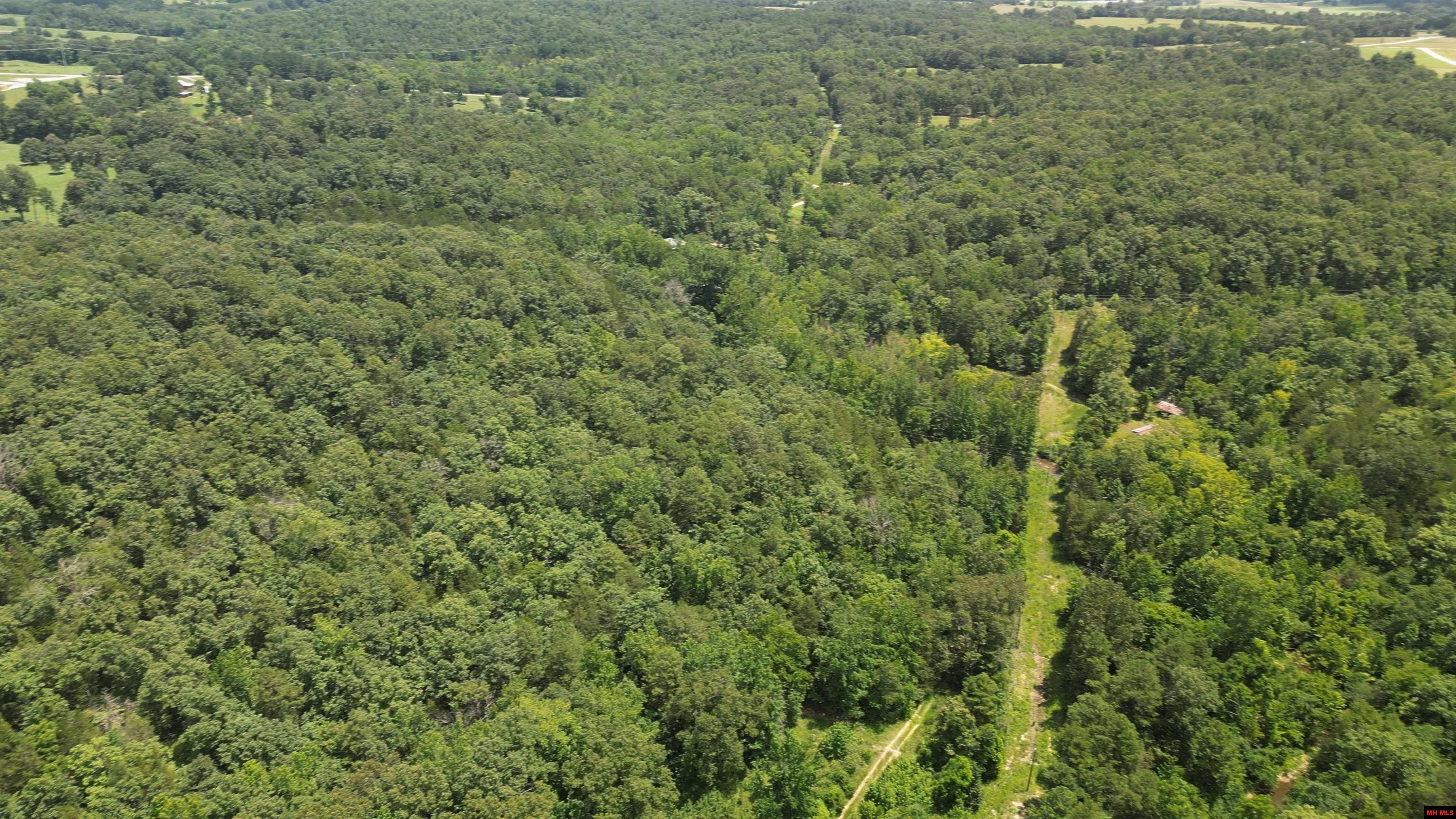 Property Photo: 881 Driftwood Drive AR 72566
