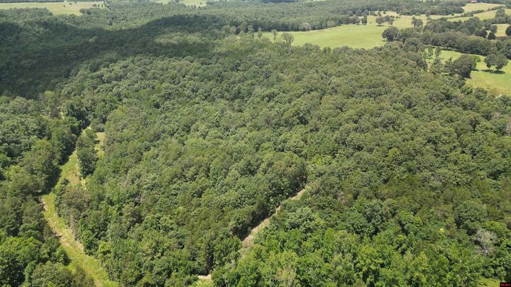 Property Photo:  881 Driftwood Drive  AR 72566 