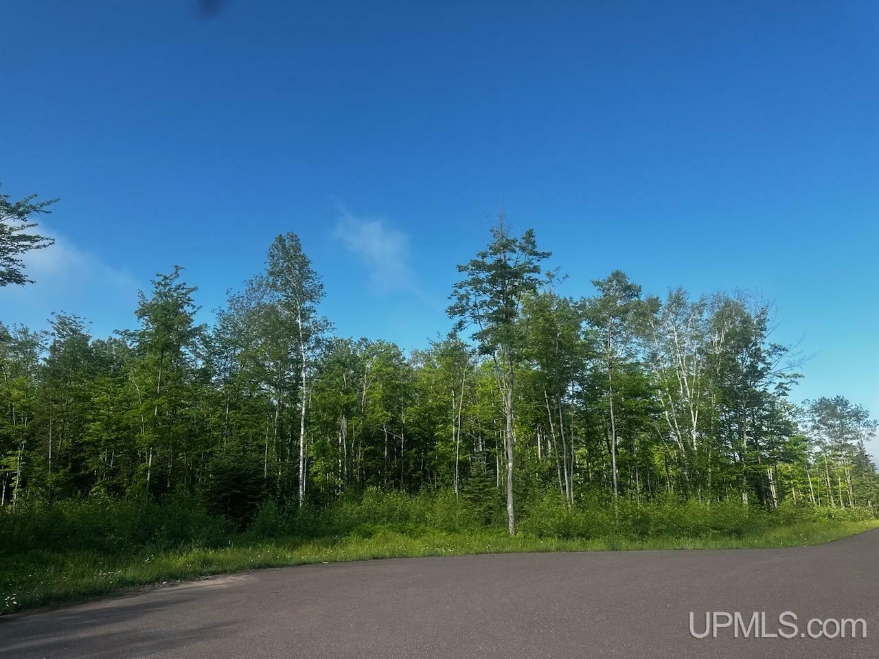 Property Photo: Unit 7 Greenway Drive MI 49916