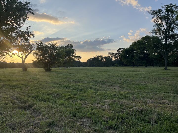 Property Photo:  0 Henderson Road  TN 37160 