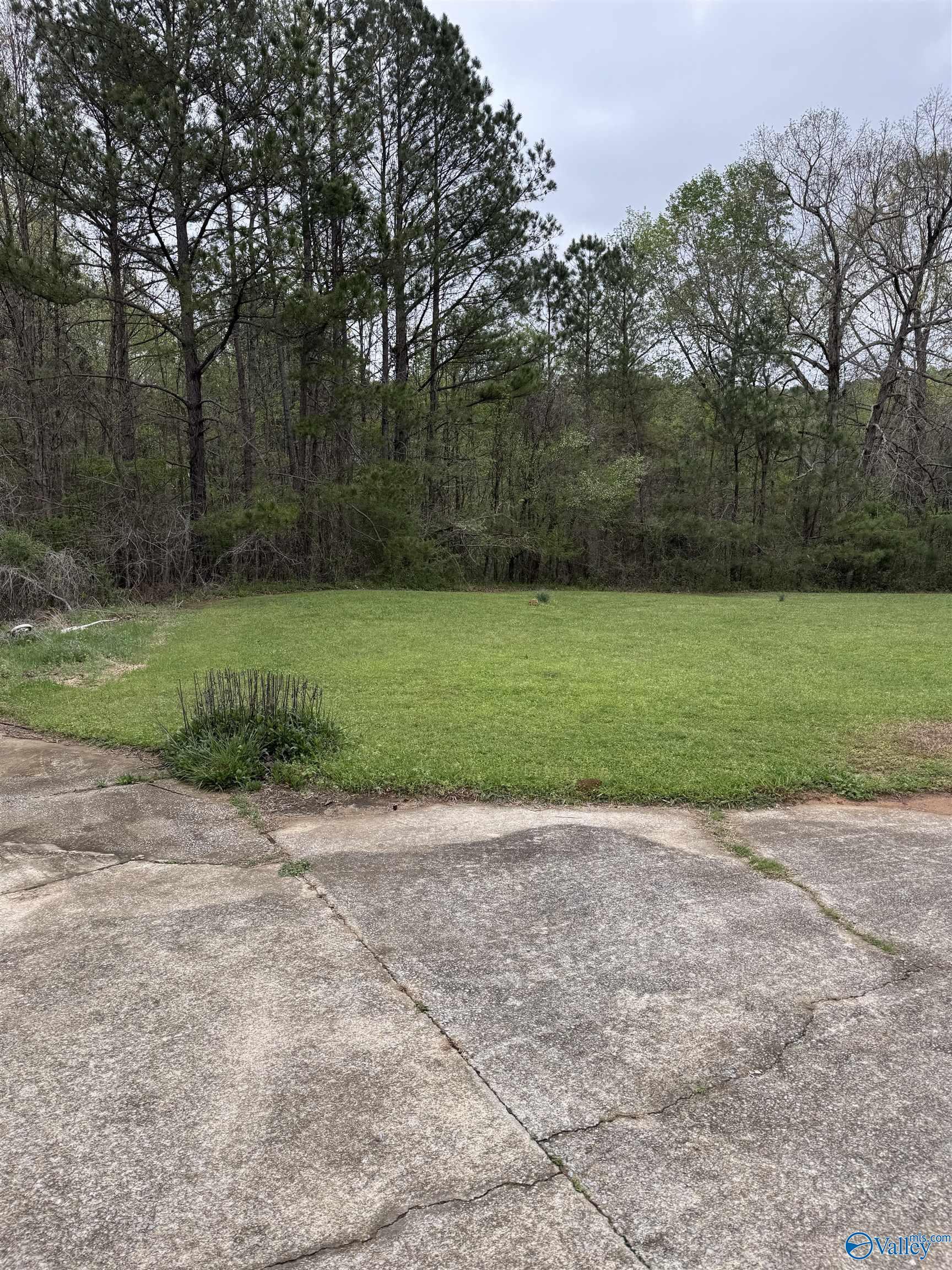 Property Photo: 8215 Owls Hollow Road AL 35901