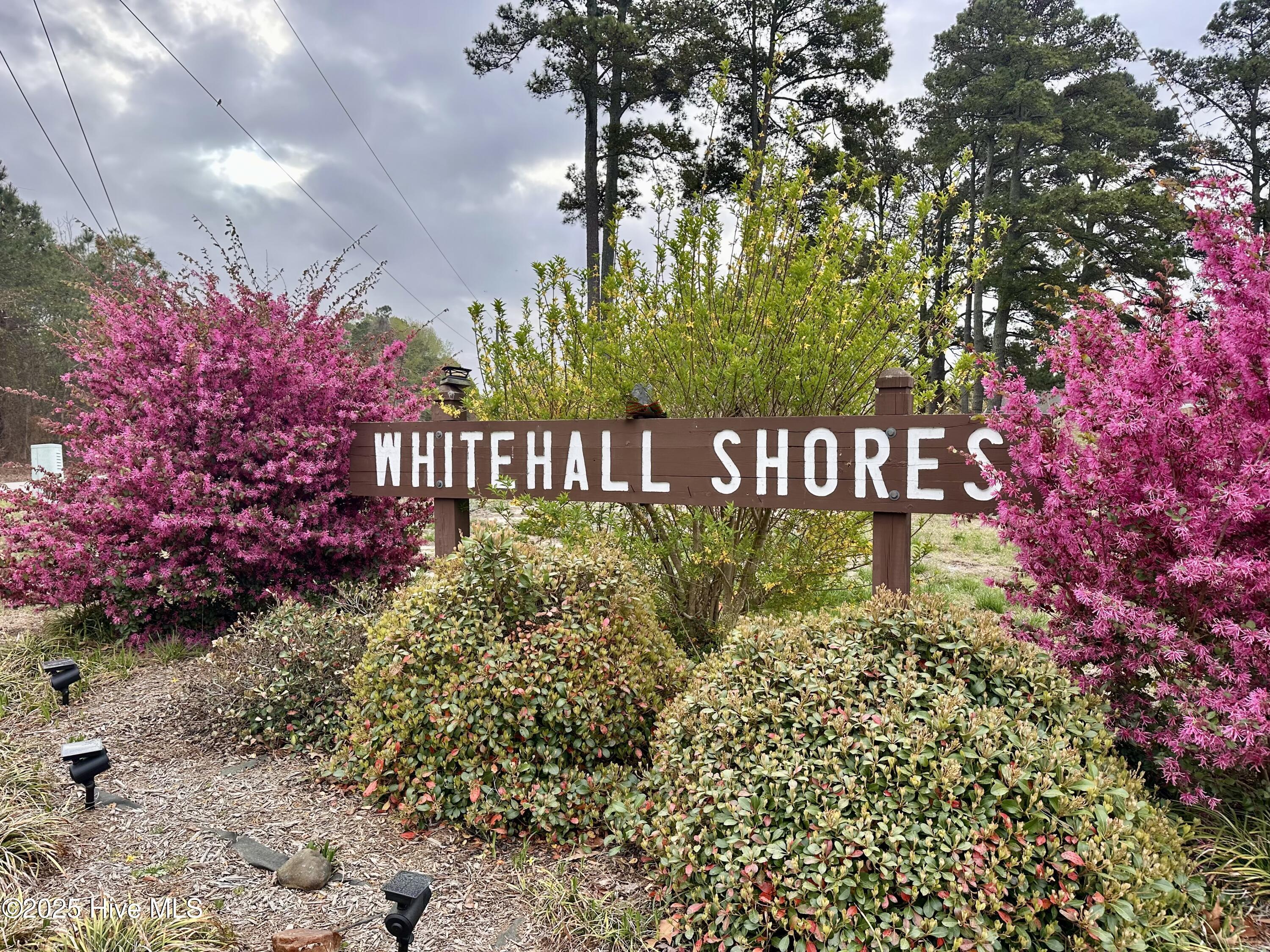 Property Photo: 105 Windy Heights Drive NC 27921