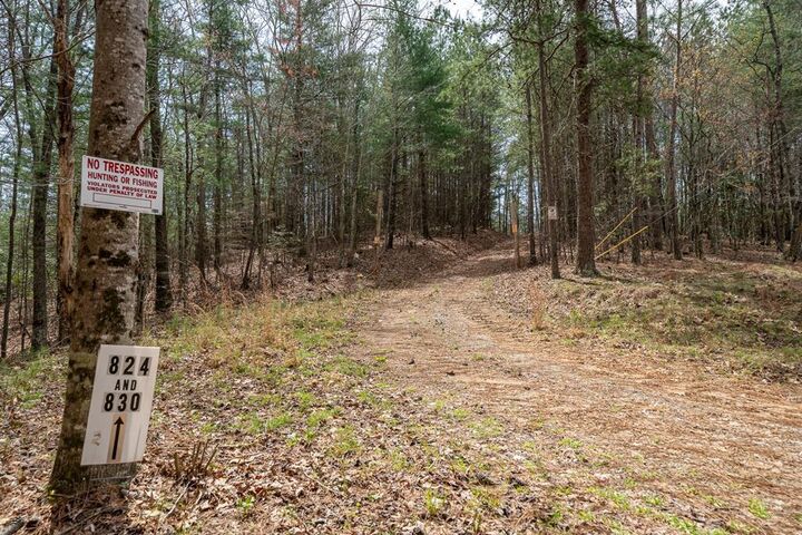 824, 830 Banks Road  Ellijay GA 30540 photo