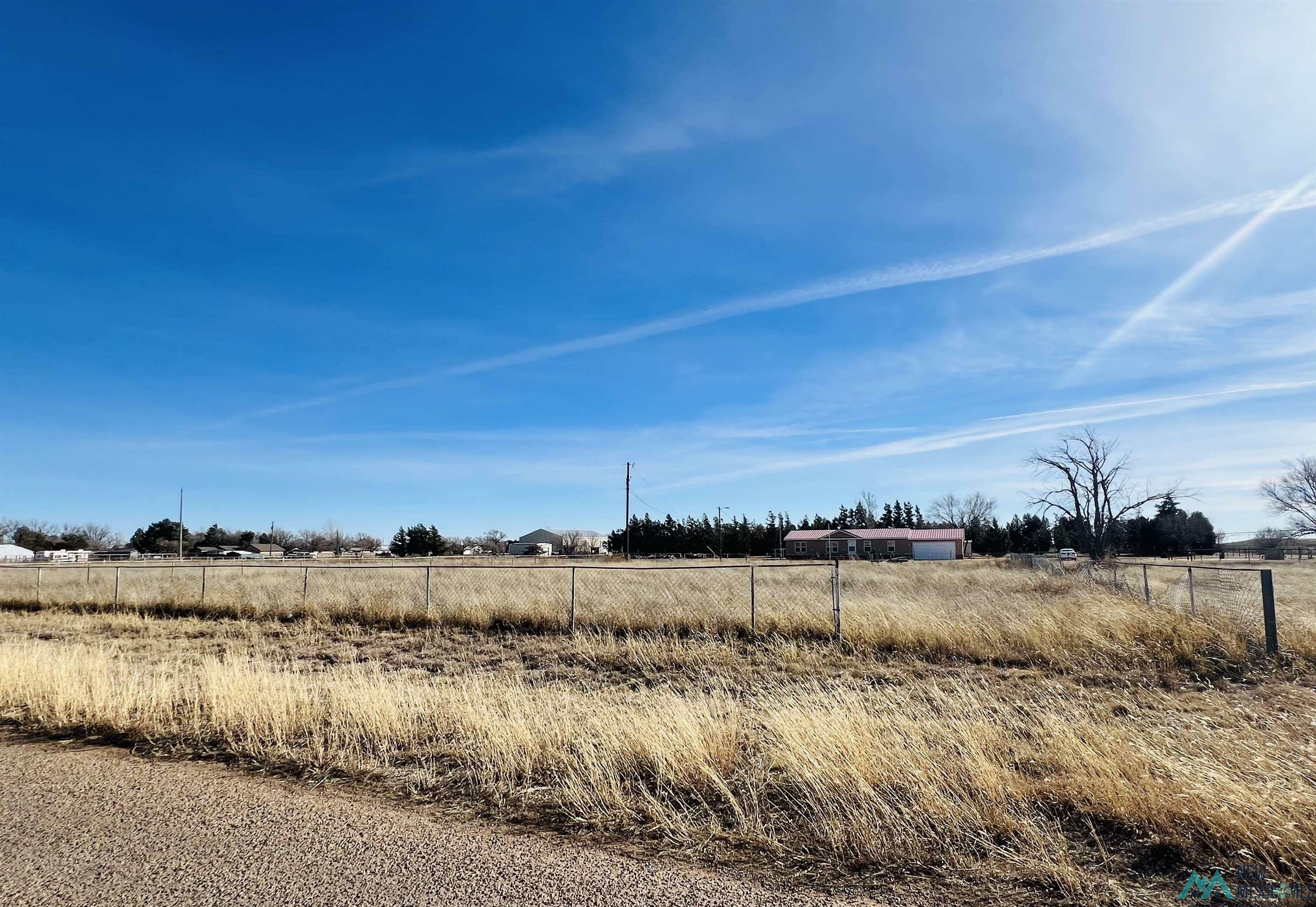 Property Photo:  221 Lynn Avenue  NM 88101 