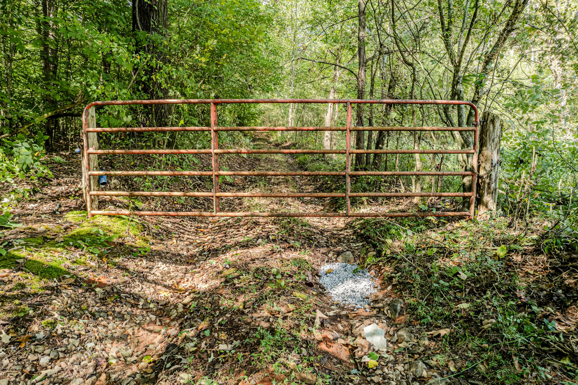 Property Photo: 00 O B Davis Road TN 37325