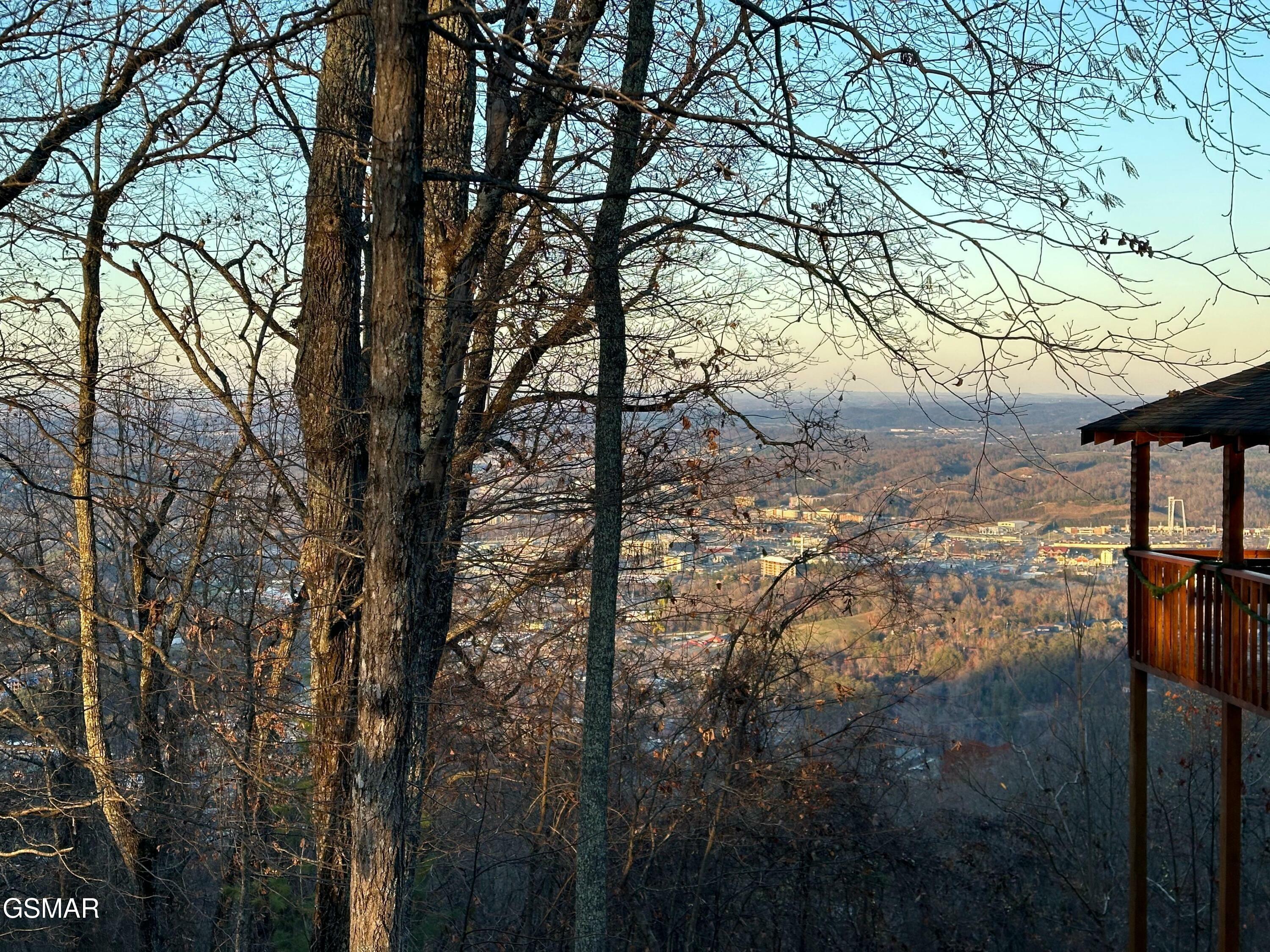 Property Photo: Lot 63 Twin City Way TN 37876