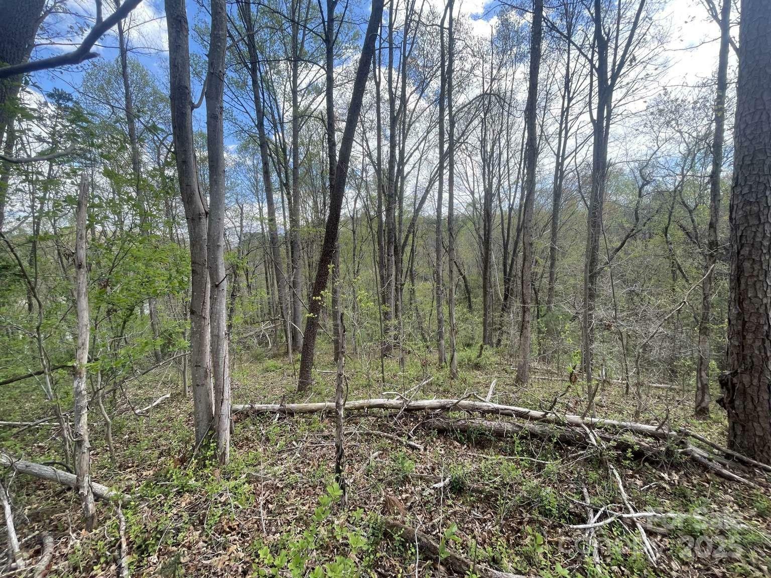 Property Photo: 165 Richmond Ridge Road NC 28806