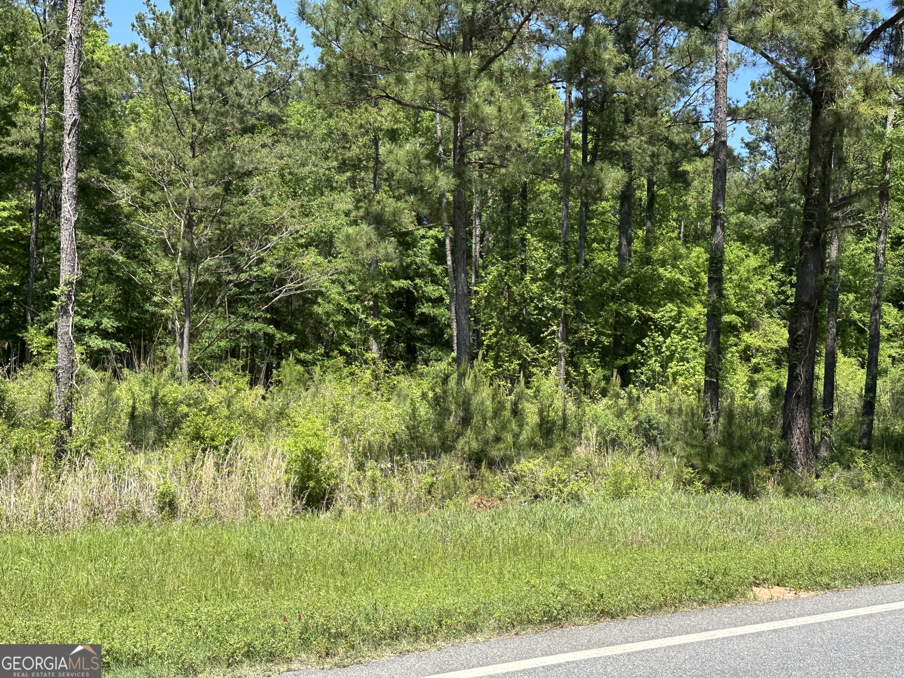 Property Photo: 13059 E State Route 26 Road GA 31063