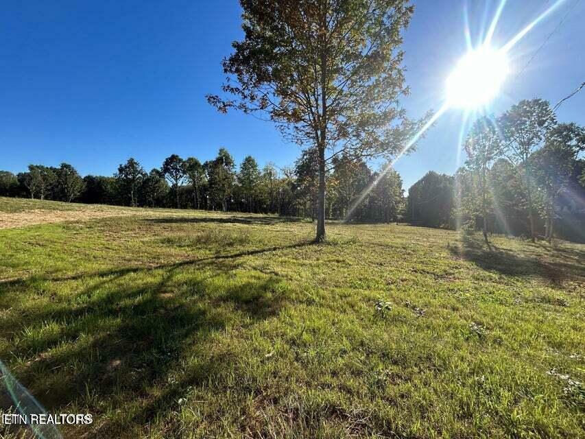 Property Photo: 114 Campbell Way TN 37801