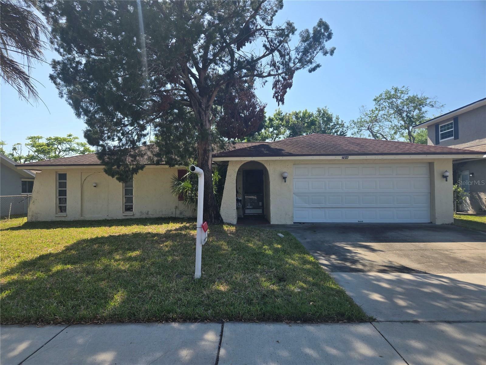 Property Photo: 704 Lemonwood Drive FL 34677