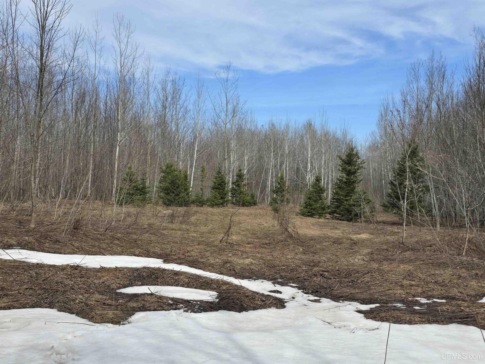 Property Photo:  Tbd Woodspur Road  MI 49953 