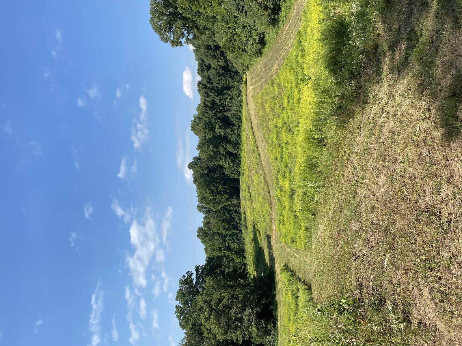 Property Photo:  V/L Rumsey Road  MI 49093 