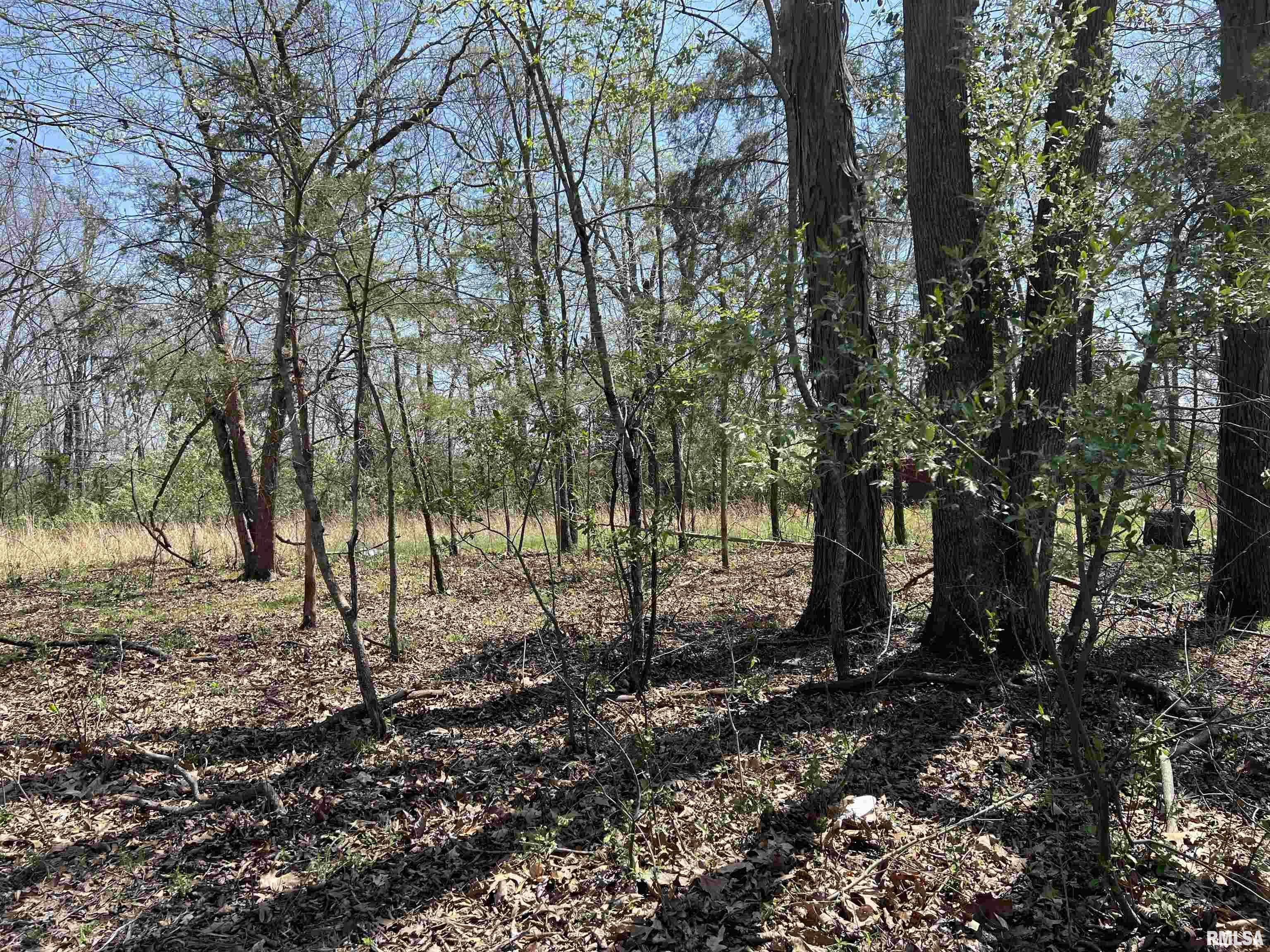 Property Photo: Lot 442 Thompson Drive IL 62939