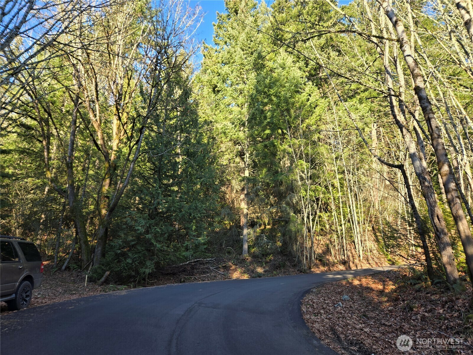 Property Photo: 116 Xx 198th Avenue E WA 98027