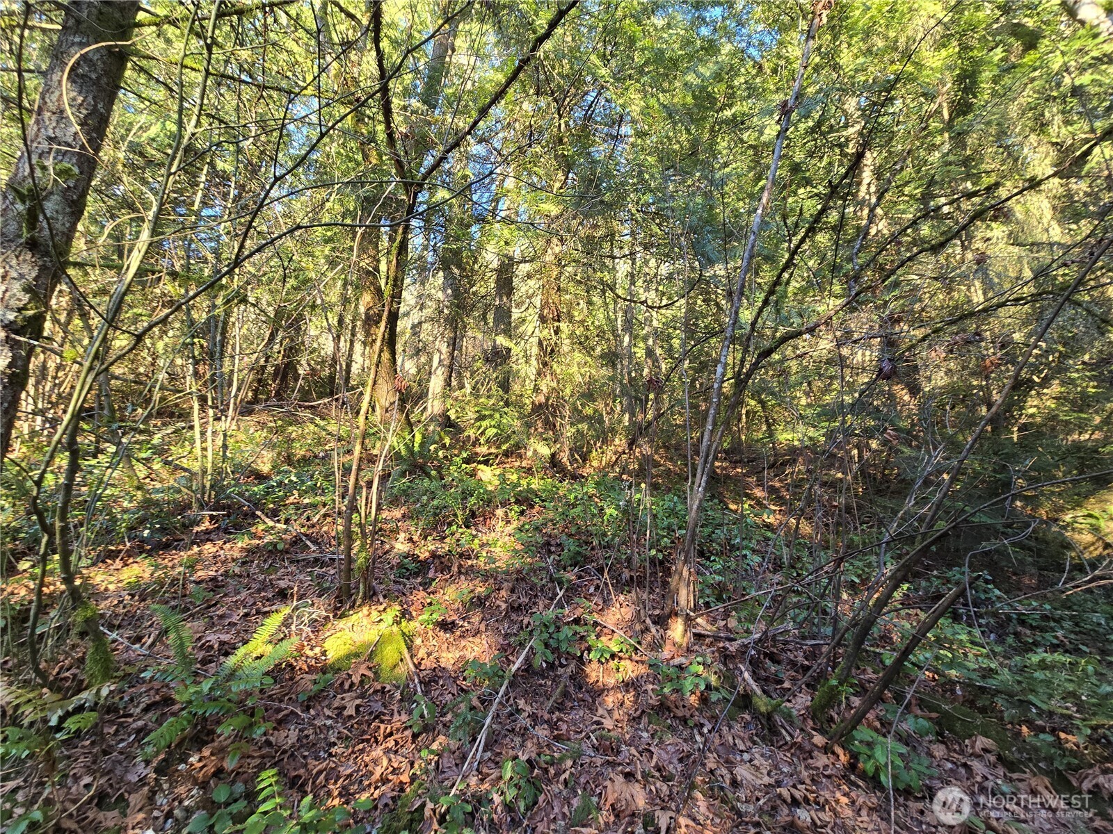 Property Photo: 116 Xx 198th Avenue E WA 98027