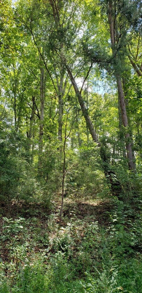 Property Photo:  4 Treeline Drive  TN 37327 